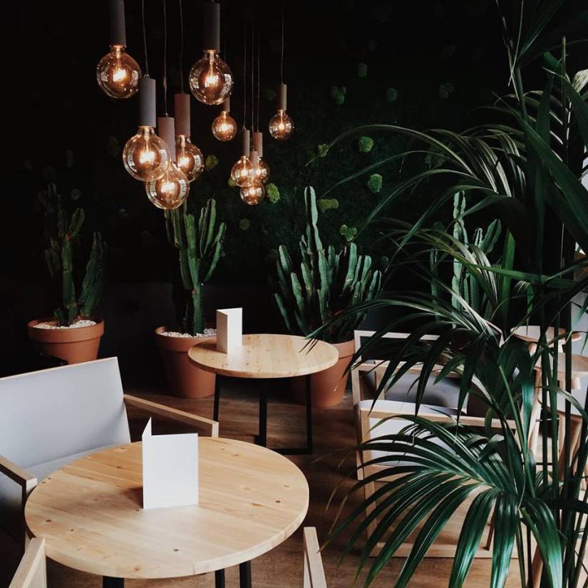 1923657_456857297830778_9150646661332461930_n