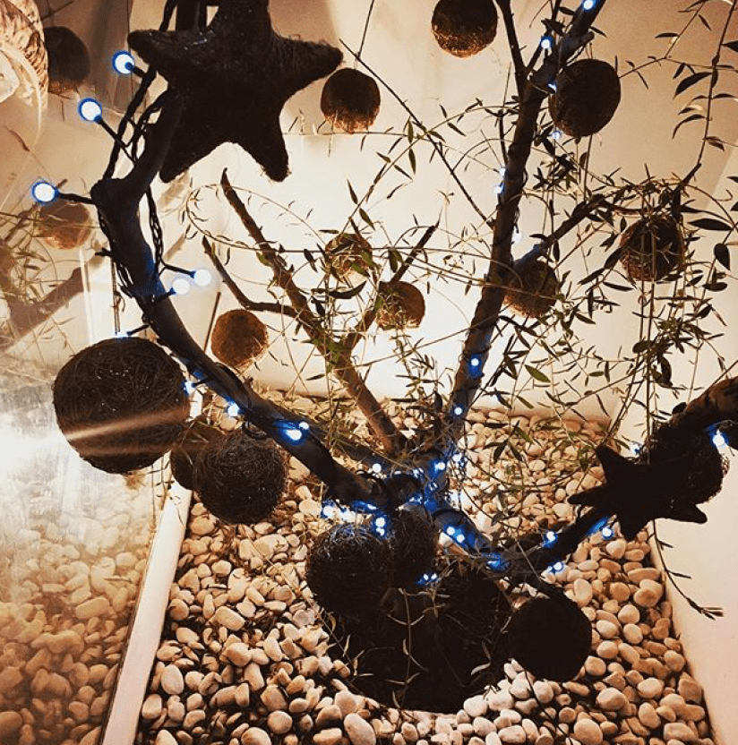 Captura de pantalla 2018-08-05 a las 19.00.52